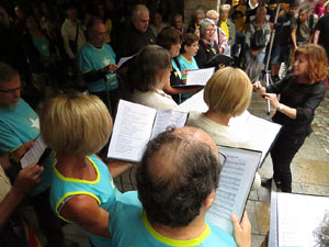 Diada Nacional 2019. Concentraci&oacute; a la pla&ccedil;a del Vi, lectura del manifest i cant de Els Segadors