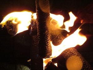 Diada Nacional 2019. XIII Marxa de Torxes de Girona