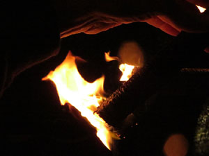 Diada Nacional 2019. XIII Marxa de Torxes de Girona