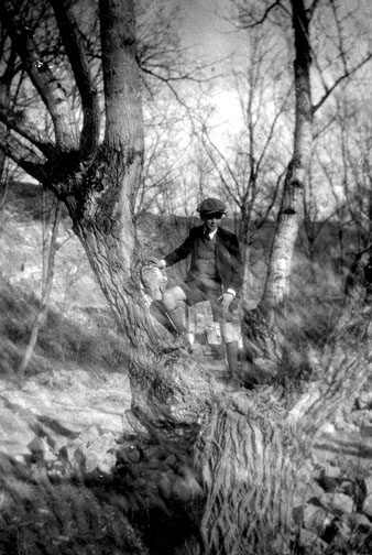 Retrat de Benet Juli&agrave; enfilat en un arbre de la Vall de Sant Daniel. 1920-1930