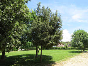 Els barris de Girona. El barri de Germans S&agrave;bat