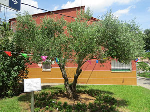 Els barris de Girona. El barri de Germans S&agrave;bat