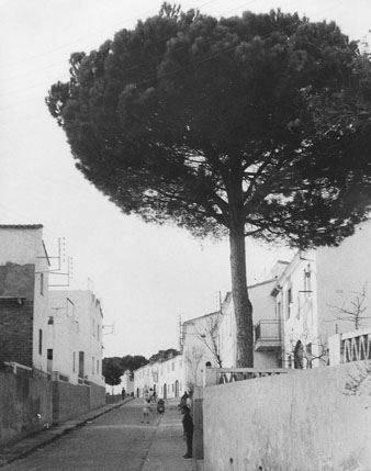 Vista d'un carrer del barri. 1960-1970