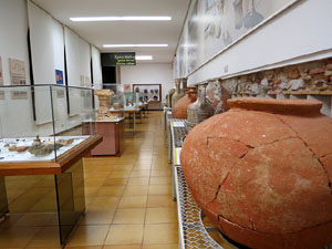 Nit dels Museus 2019. Museu d'Arqueologia de Catalunya - Girona