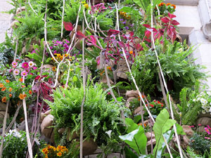 Temps de Flors 2019. Muntatges i instal·lacions florals a la Façana i entrada de l'Ajuntament