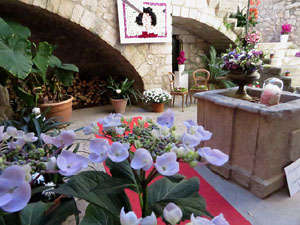 Temps de Flors 2019. Instal&middot;lacions i muntatges florals al pati de la Casa Boadas Formiga