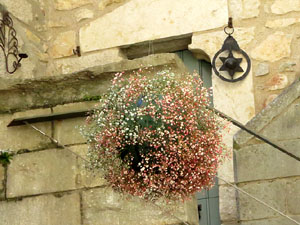 Temps de Flors 2019. Instal&middot;lacions i muntatges florals al pati de la Casa Boadas Formiga