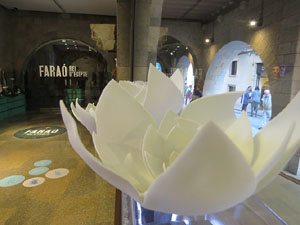 Temps de Flors 2019. Muntatges florals al espais de Caixaf&ograve;rum, a l'edifici de la Fontana d'Or
