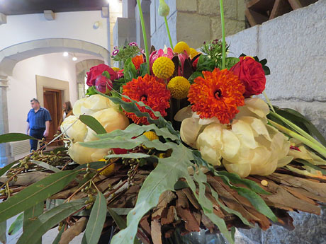 Temps de Flors 2019. Palau de Caramany