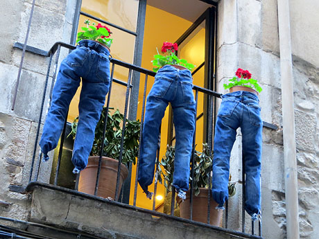 Temps de Flors 2019. Instal·lacions florals als espais del carrer de la Força i carrer del doctor Miquel Oliva 