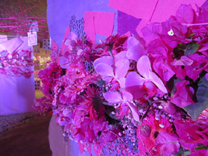 Temps de Flors 2019. Decoracions florals als diversos espais dels Soterranis de la Catedral