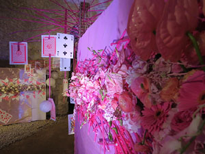 Temps de Flors 2019. Decoracions florals als diversos espais dels Soterranis de la Catedral