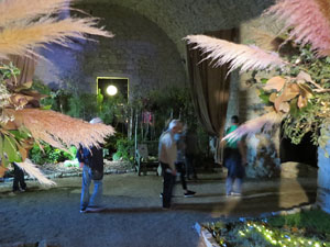 Temps de Flors 2019. Decoracions florals als diversos espais dels Soterranis de la Catedral