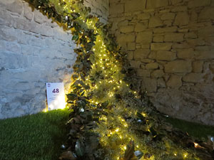 Temps de Flors 2019. Decoracions florals als diversos espais dels Soterranis de la Catedral