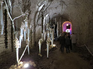 Temps de Flors 2019. Decoracions florals als diversos espais dels Soterranis de la Catedral