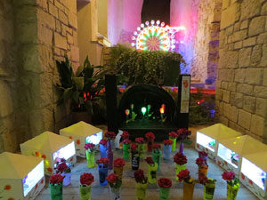 Temps de Flors 2019. Decoracions florals als diversos espais dels Soterranis de la Catedral