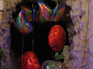 Temps de Flors 2019. Decoracions florals als diversos espais dels Soterranis de la Catedral