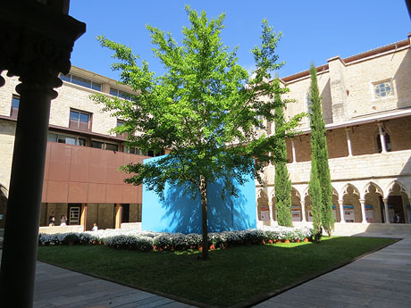 Temps de Flors 2019. Muntatges florals als claustres de Sant Domènec