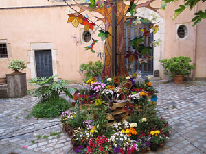 Temps de Flors 2019. Muntatges, instal&middot;lacions i exposicions florals a diversos indrets