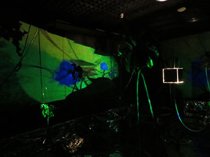 Temps de Flors 2019. Muntatges, instal&middot;lacions i exposicions florals a diversos indrets