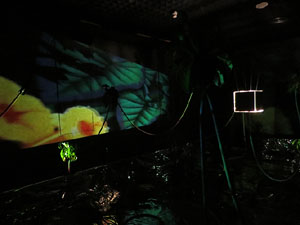 Temps de Flors 2019. Muntatges, instal&middot;lacions i exposicions florals a diversos indrets