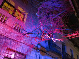 Temps de Flors 2019. Muntatges, instal&middot;lacions i exposicions florals a diversos indrets