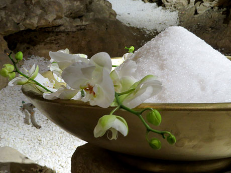 Temps de Flors 2019. Instal&middot;laci&oacute; floral Memorial Mahatma Gandhi al soterrani II de la Torre Gironella