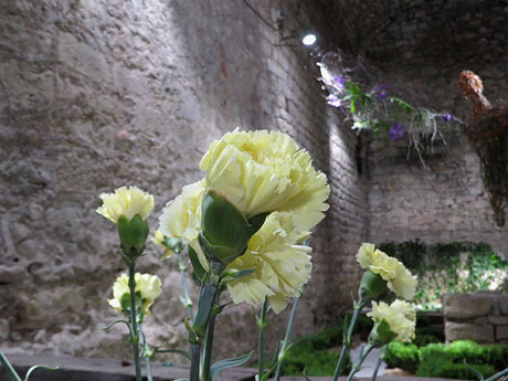 Temps de Flors 2019. Muntatges i instal&middot;lacions florals a la Torre Gironella - Soterrani I