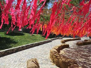 Temps de Flors 2019. Muntatges i instal·lacions florals al Jardí de la Infància