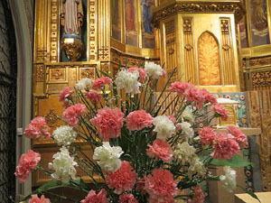 Temps de Flors 2019. Muntatges i instal·lacions florals al Centre geriàtric Maria Gay