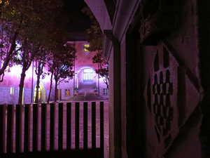 Temps de Flors 2019. Decoraci&oacute; floral del Pati de les Magn&ograve;lies, a la Seu del Govern de la Generalitat de Catalunya a Girona