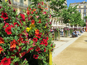 Temps de Flors 2019. Instal&middot;lacions i muntatges a la Pla&ccedil;a de la Independ&egrave;ncia