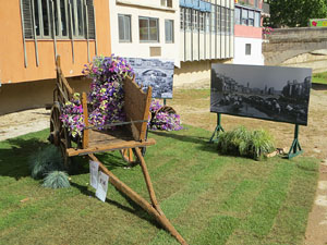 Temps de Flors 2019. Instal&middot;lacions florals als Ponts de l'Onyar