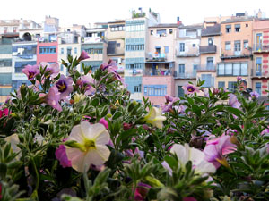 Temps de Flors 2019. Instal&middot;lacions florals als Ponts de l'Onyar