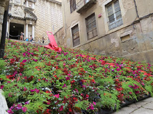 Temps de Flors 2019. Instal·lacions i muntatges a la Pujada de Sant Domènec