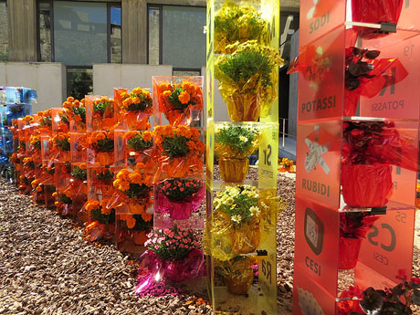 Temps de Flors 2019. Instal·lació floral a l'edifici de les Àligues i les escales de Sant Domènec
