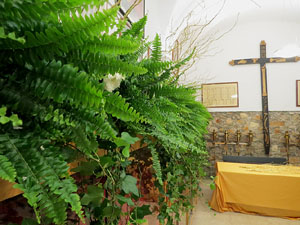 Temps de Flors 2019. Muntatges i instal·lacions florals a l'església de Sant Lluc, el Castrum dels Manaies de Girona