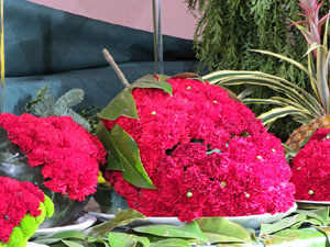 Temps de Flors 2019. Muntatges i instal&middot;lacions florals a l'Esgl&eacute;sia de Sant Mart&iacute; - Antic Seminari