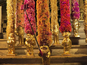 Temps de Flors 2019. Muntatges i instal&middot;lacions florals a les escales del Teatre Municipal