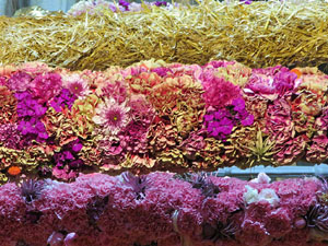 Temps de Flors 2019. Muntatges i instal&middot;lacions florals a les escales del Teatre Municipal