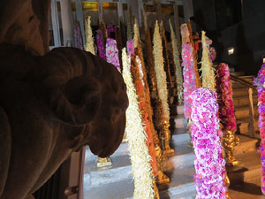 Temps de Flors 2019. Muntatges i instal&middot;lacions florals a les escales del Teatre Municipal