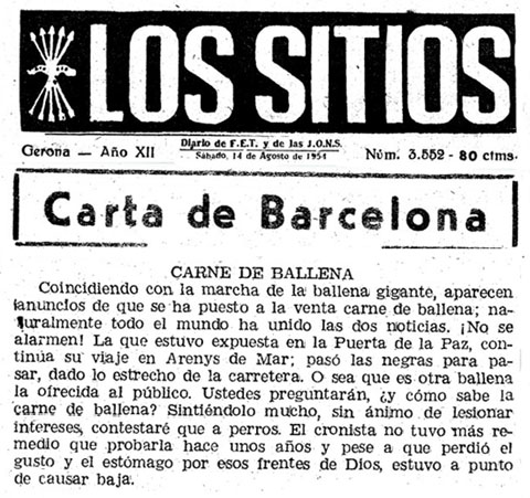 Article del diari 'Los Sitios' sobre el consum de carn de balena a Barcelona, del 14 d'agost de 1954