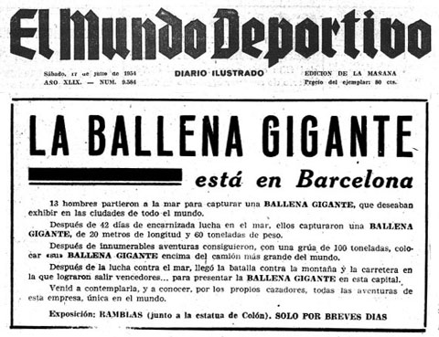 Anunci de 'El Mundo Deportivo' del 17 de juliol de 1954, que informa de la presència de la balena a Barcelona