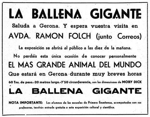 Anunci de l'exhibició de la balena a Girona