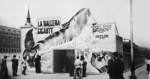 La carpa on s'exhibia la balena a Madrid, a la plaça de la Moncloa. Devia ser la mateixa que va arribar a Girona