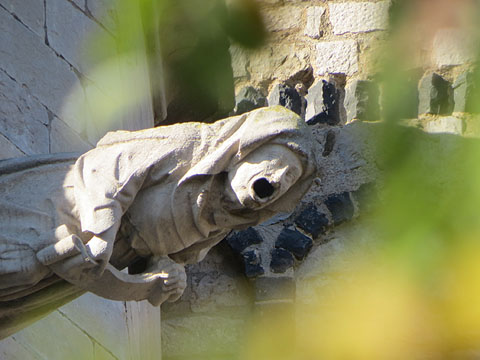 La Bruixa de la Catedral