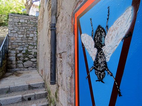 Art urb&agrave;. Mosques al carrer del doctor Oliva i Prat