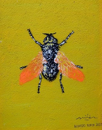 Art urb&agrave;. Mosca en una porta tapiada a la pujada de Sant Feliu