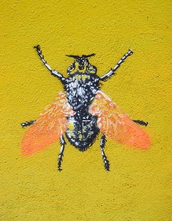 Art urb&agrave;. Mosca en una porta tapiada a la pujada de Sant Feliu
