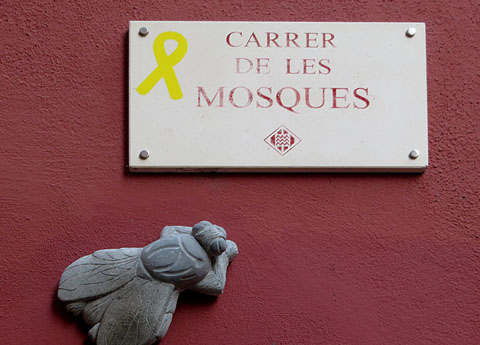 El carrer de les Mosques